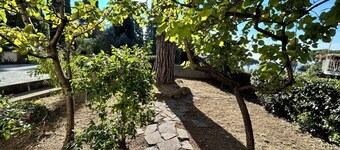 Casa Mimose - Two Bedroom Apartment, Sleeps 5