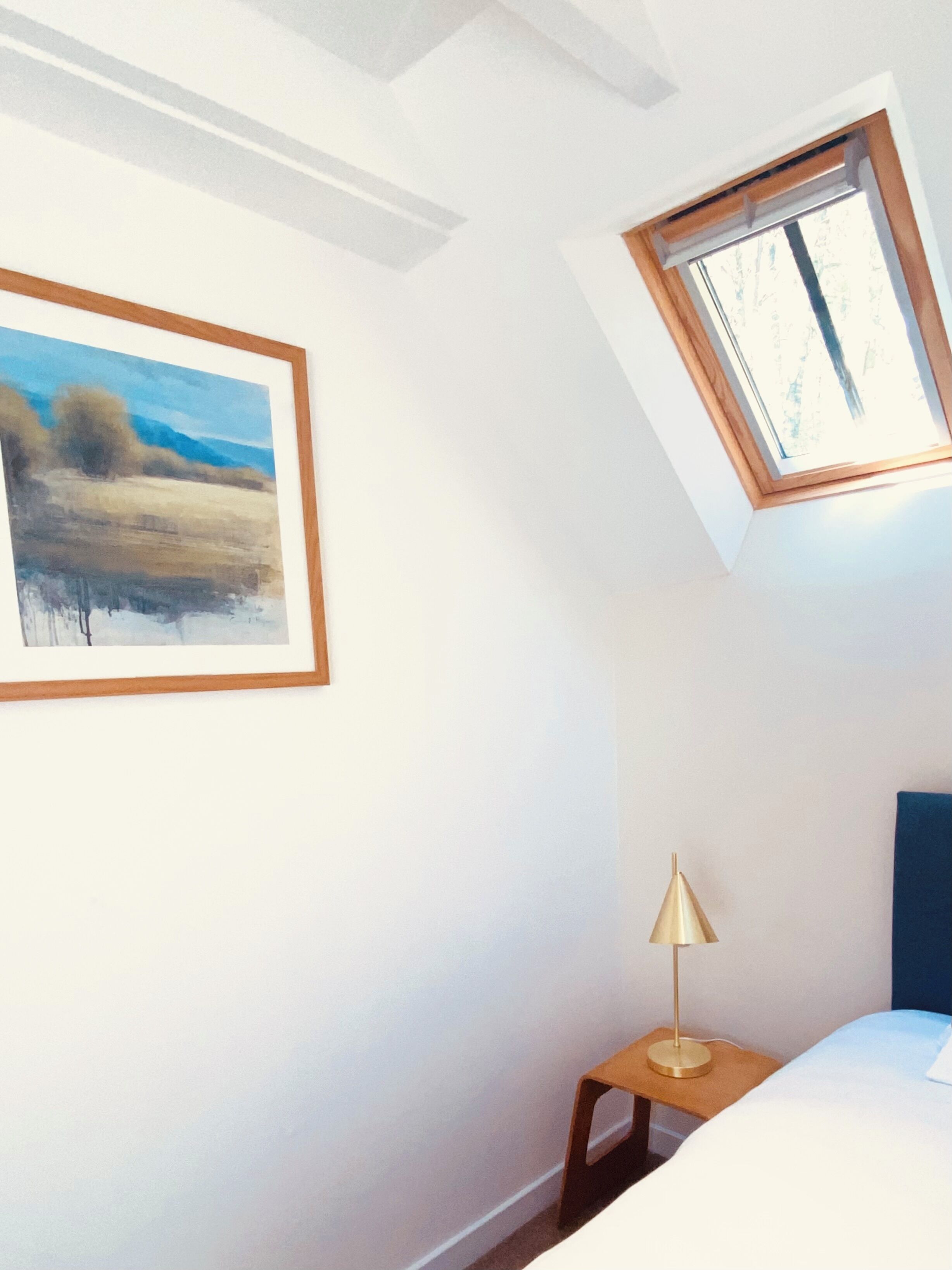 A bedroom with a skylight, a framed painting, a bedside lamp, and a bed.
