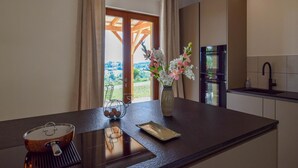 Eine moderne Küche mit Einbauherd, Spüle und Blick auf einen Garten durch eine Glastür.
