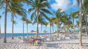 A beach with rows of palm trees, beach chairs, and umbrellas. - 2-BR Garza Blanca Exclusive Resort for New Year's 2027 1 full week (PUNTA SAM)