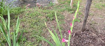 Private campsites on Deep Creek in Bryson City. Bring your fishing pole.