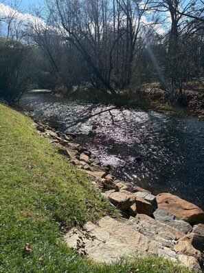 Miscellaneous - Fabulous private camping on Deep Creek in Bryson City perfect for outdoor lovers (Bryson City)