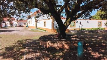 Área da propriedade