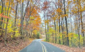 Niet-geclassificeerde afbeelding, 3 van 15, knop