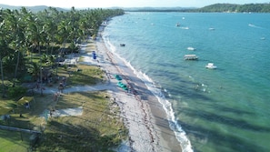Une plage bordée de palmiers, un rivage sablonneux et des bateaux sur l’eau.