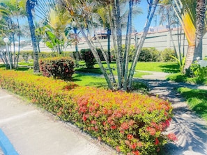 Parco della struttura