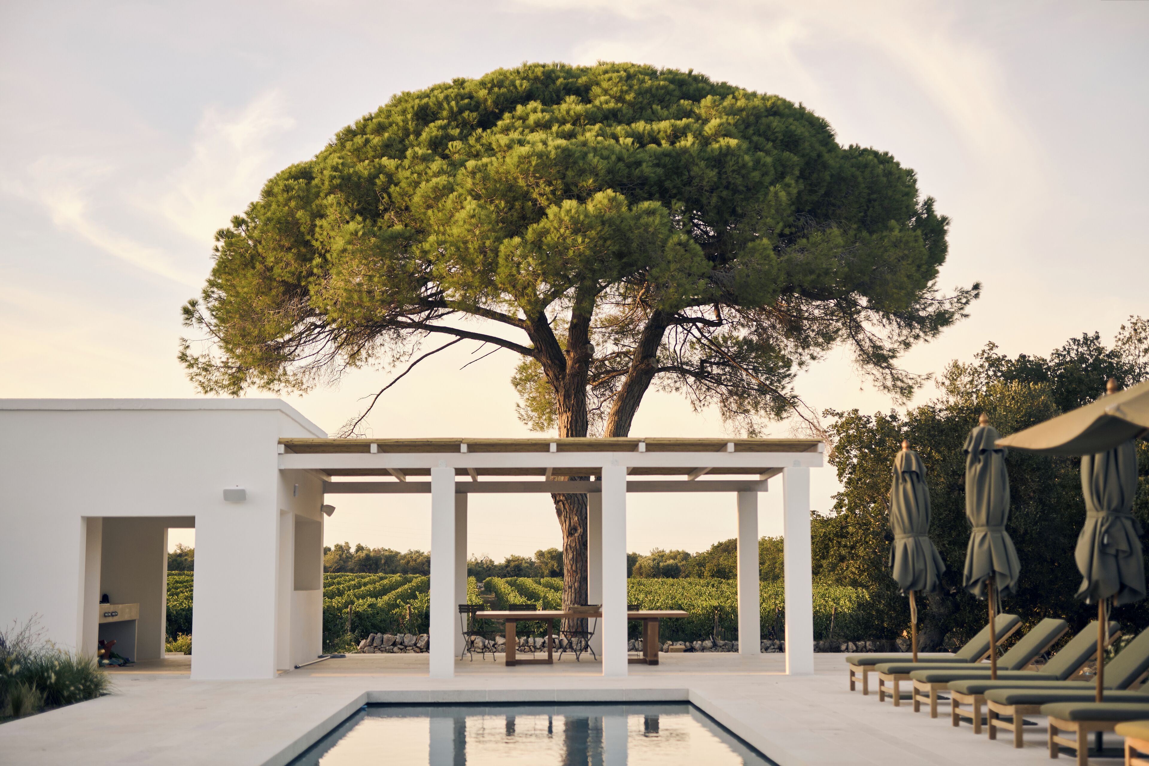 Seasonal outdoor pool, pool umbrellas, sun loungers