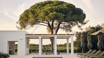 Seasonal outdoor pool, pool umbrellas, sun loungers