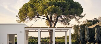 มาสเซเรีย เปียตรา เอ เทอร์รา