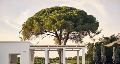 Masseria Pietra e Terra