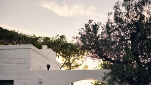 A modern architectural structure with a concrete pathway leading to an arched entrance. - Masseria Pietra e Terra  (Carovigno)