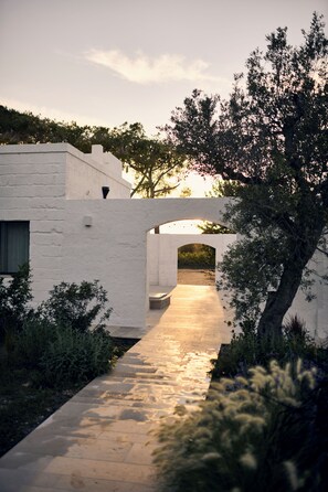 Property grounds - Masseria Pietra e Terra  (Carovigno)