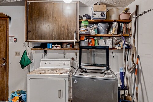 Port Orange Linda's Lizard Landing