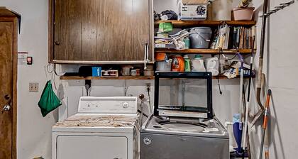 Port Orange Linda's Lizard Landing