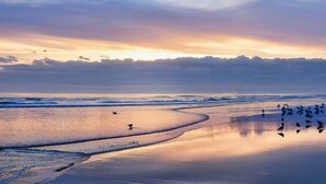 A beach with gentle waves and a flock of birds on the sand. - Daytona Pirates Cove 3270-salt Air Cove (Daytona Beach Shores)