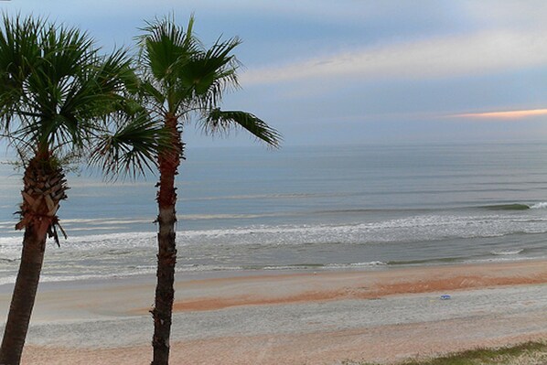 A beach with palm trees and a view of the ocean. - Ocean Watch 104 - Ocean Watch Oasis (Ormond Beach)