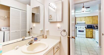 Port Orange Palm Tree Reverie