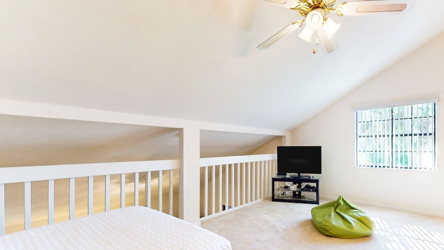 Port Orange Palm Tree Reverie