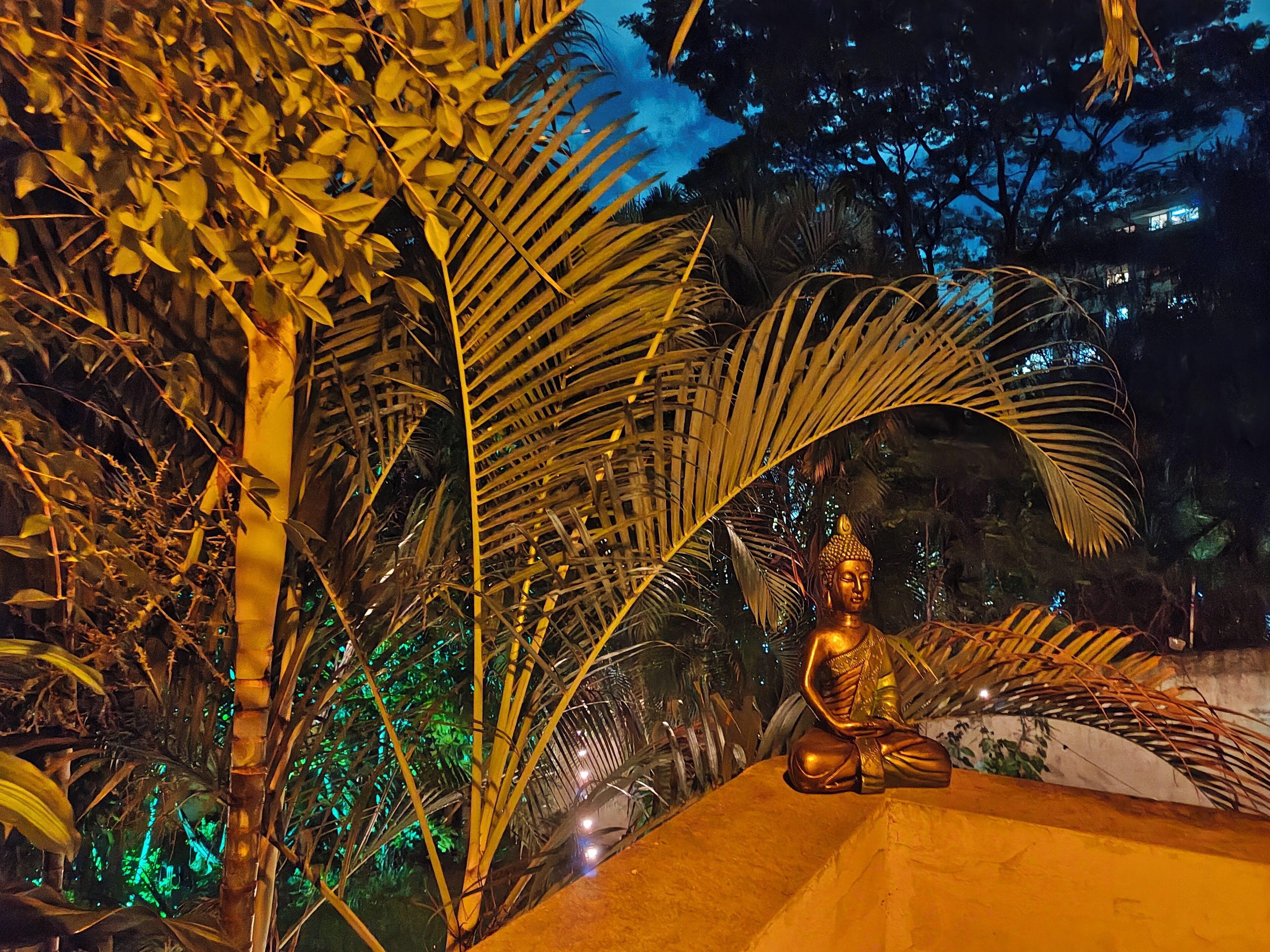 Deluxe suite, balkon, uitzicht op tuin