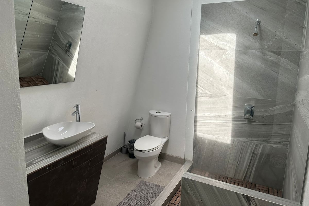 Deluxe Suite | Bathroom | Shower, free toiletries, towels, soap