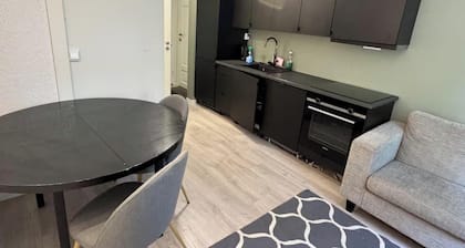 Perfect Base in Downtown Trondheim