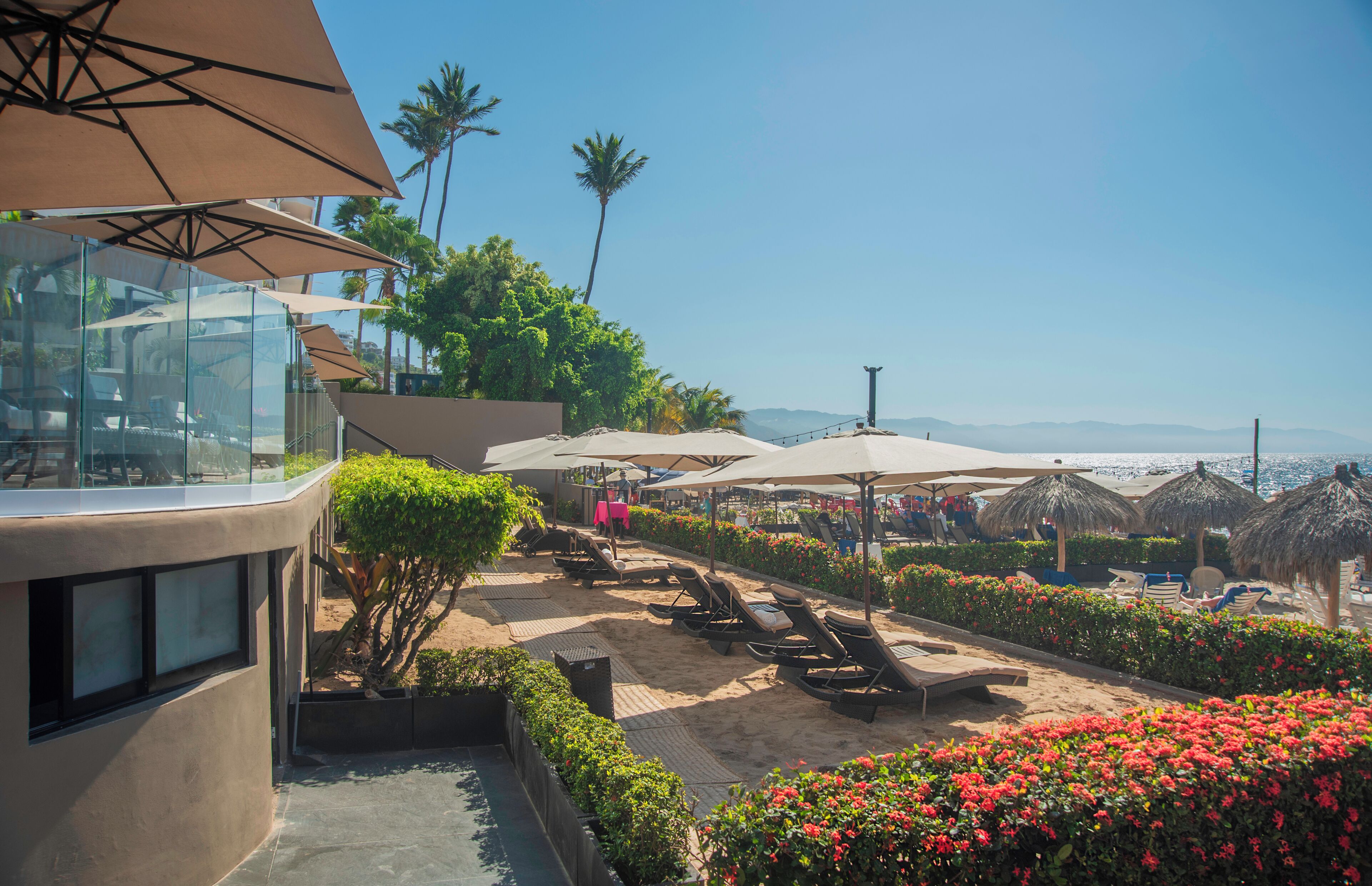 Ein Resort mit Außenbereich, Palmen und Meerblick.