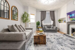 Televisión, chimenea, libros