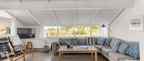 Televisión y chimenea