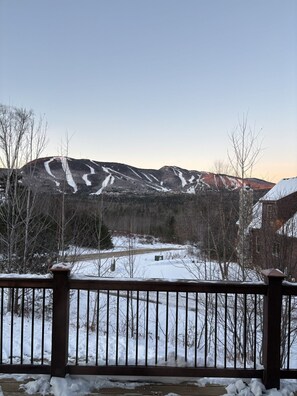 Property grounds -  4-bedroom house with Slope views, 1.6 miles to lodge, hot tun, pool table (Newry)