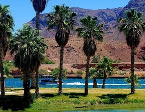 Interior - Rockin-river House, Waterfront! PP3 (Parker Dam)