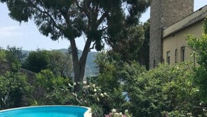 Una piscina de borde curvo, rodeada de abundante vegetación y un gran árbol.
