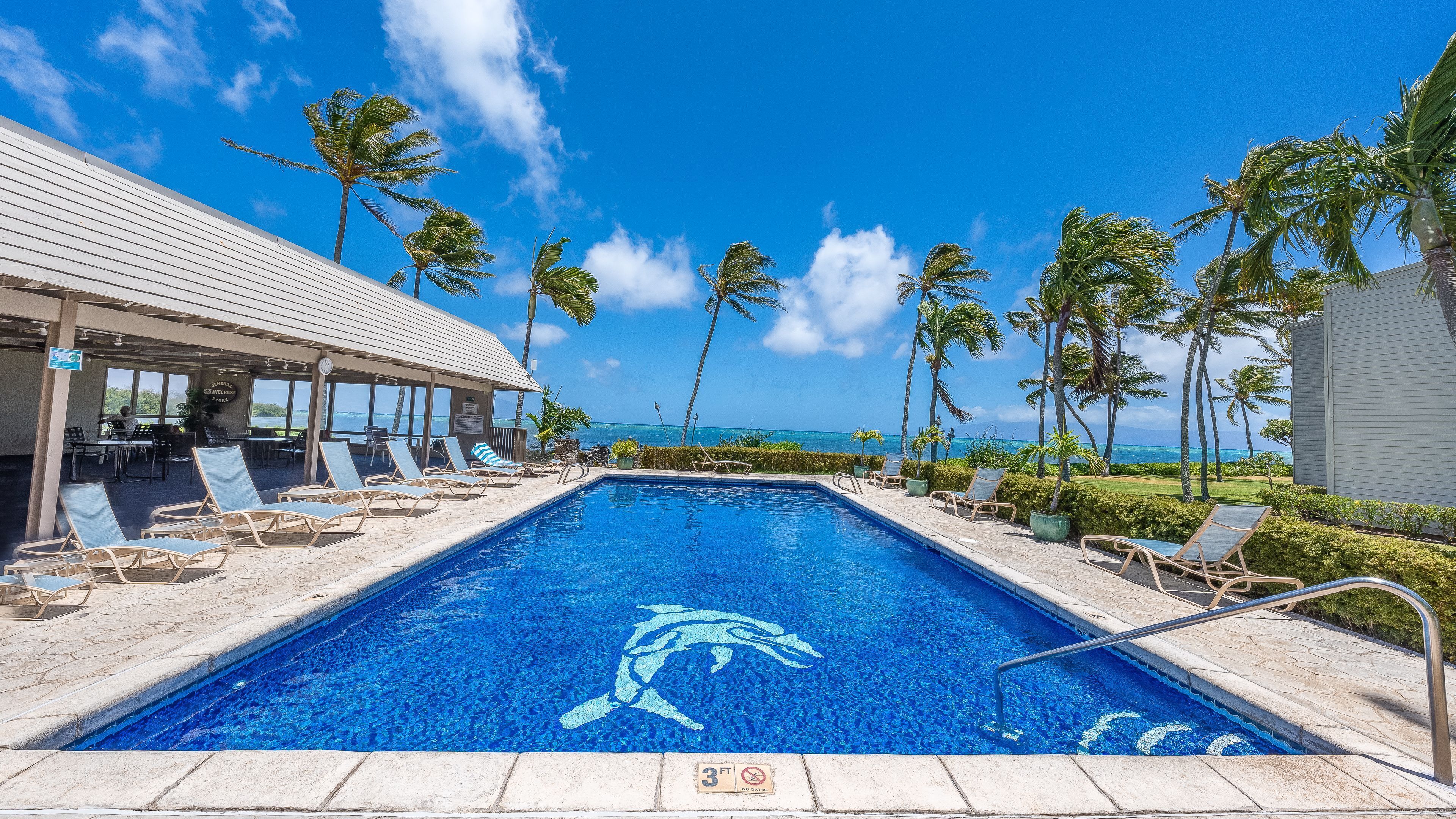 Une piscine en forme de dauphin, entourée de chaises longues et de palmiers, avec vue sur l’océan.