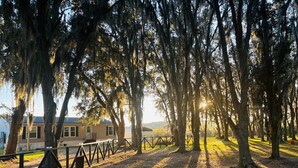 A row of trees with hanging moss, a wooden fence, and a house in the background. - PrivateOakForest RanchFirepit, BBQ&FamilyRetreat (Clermont)