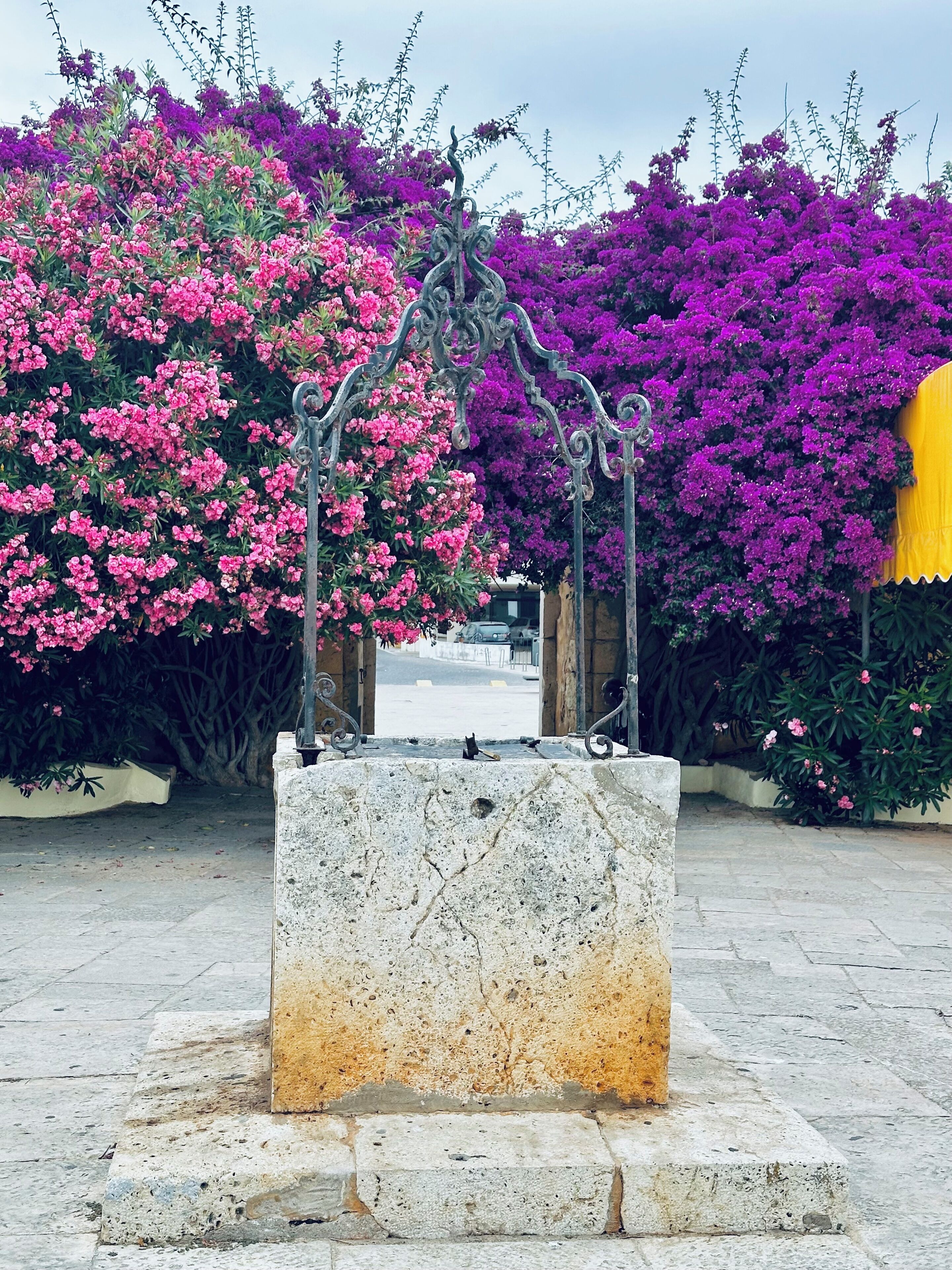 A stone fountain with a metal sculpture in the center, surrounded by vibrant pink and purple flowers.