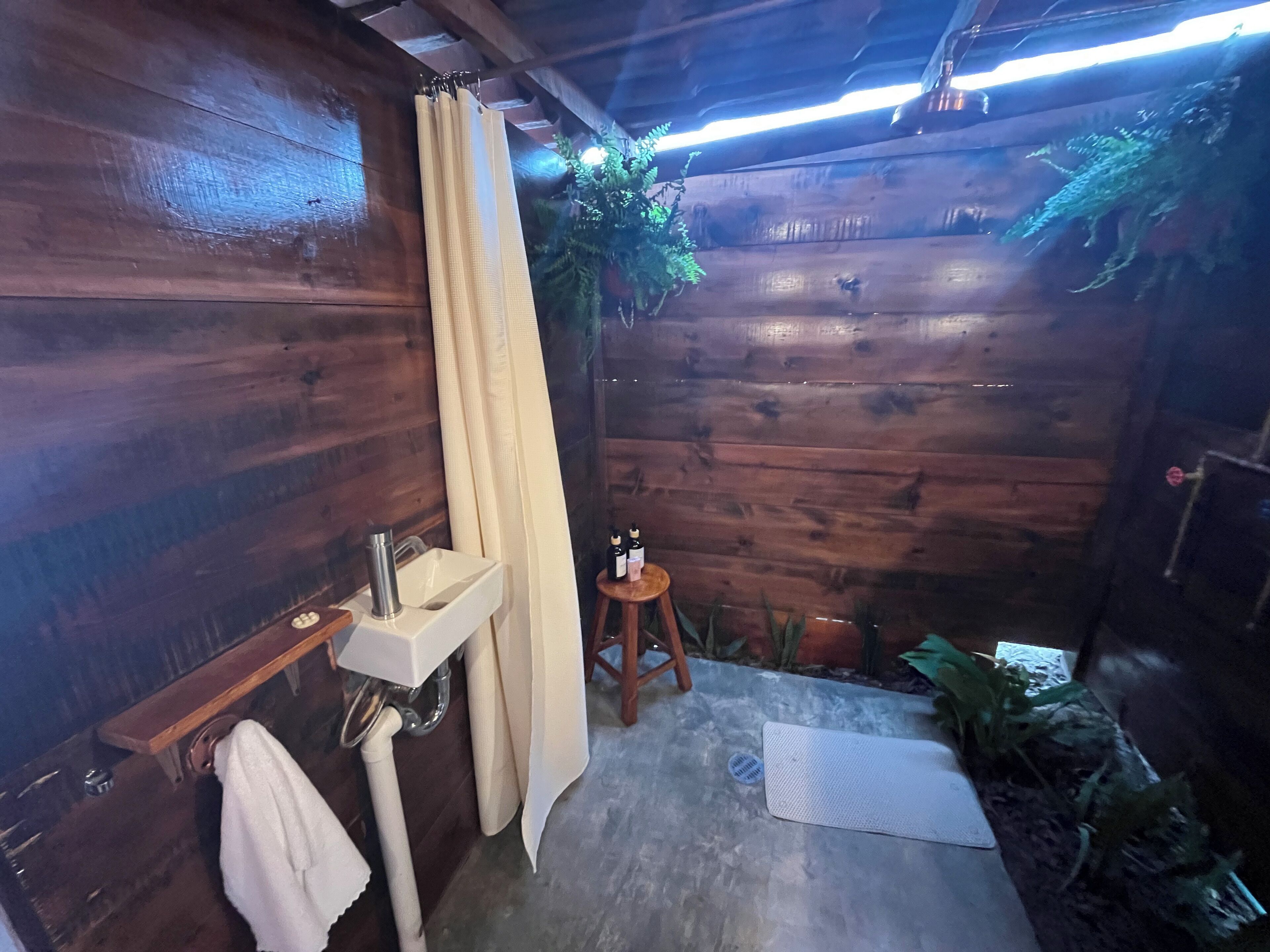 Shower, towels, soap, toilet paper