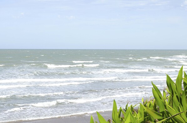 Una playa con olas y follaje verde al frente.