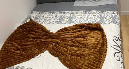 Cosy new studio, comfortable, quiet and modern