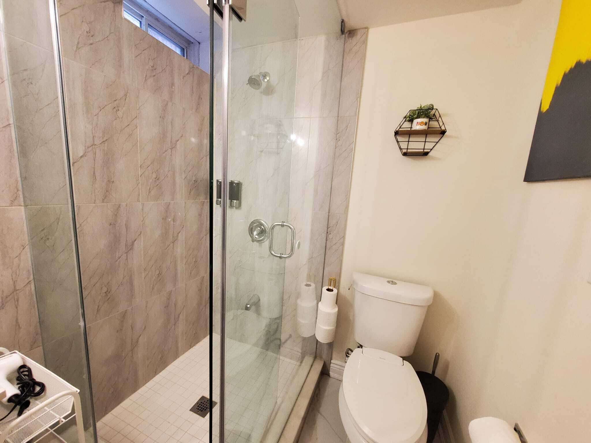 Shower, hair dryer, bidet, towels