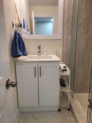Shower, hair dryer, bidet, towels