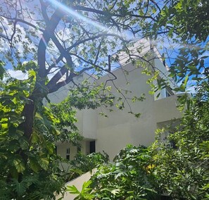 Property grounds - Penthouse at Bosque de los Aluxes on Quinta Av. (Playa del Carmen)