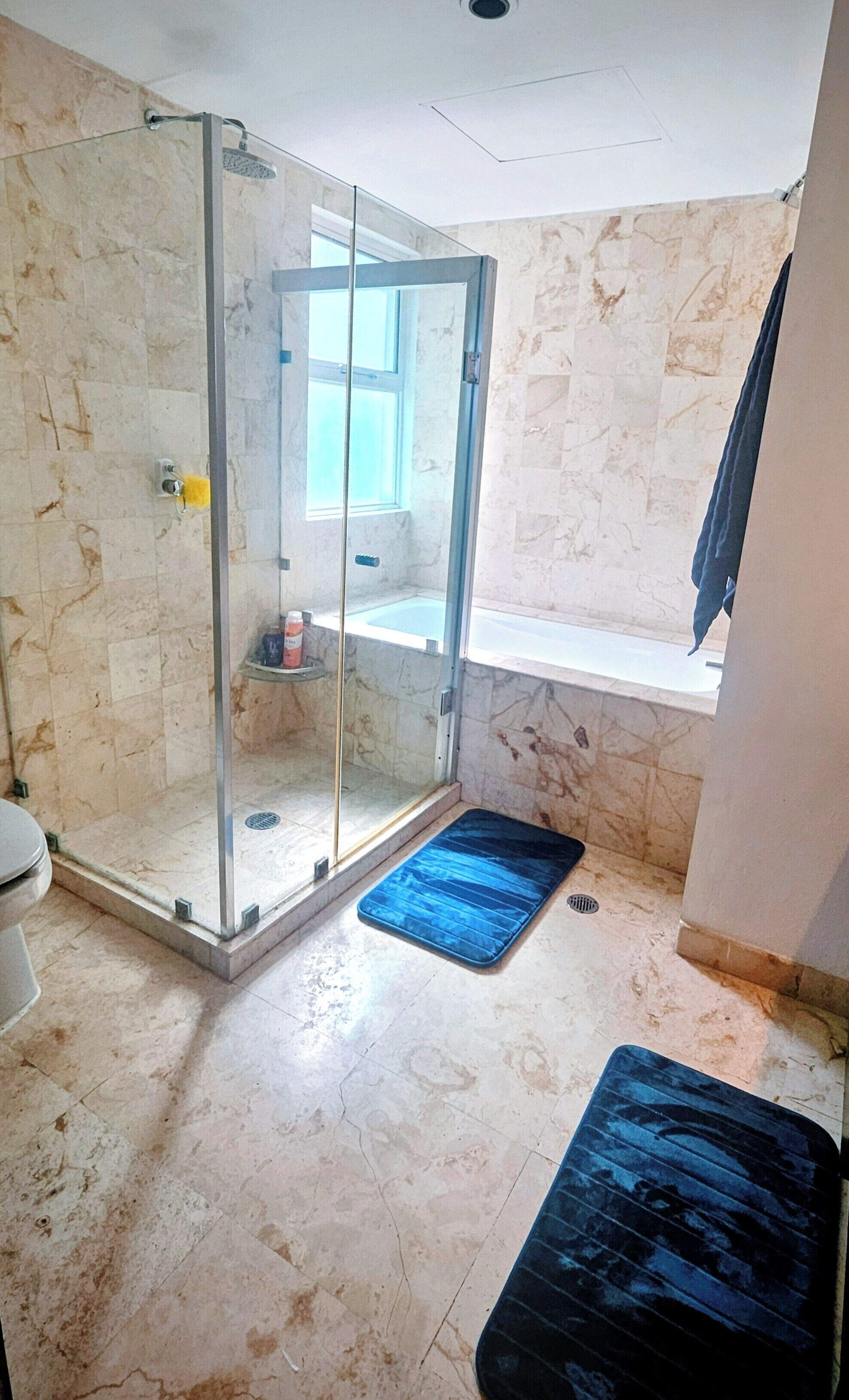 A bathroom with a glass-enclosed shower, a toilet, and a sink.