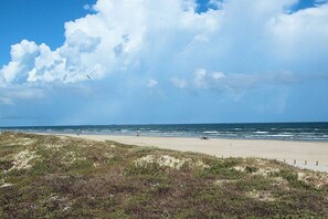 Een strand met een zandstrand, grasduinen en de oceaan op de achtergrond.