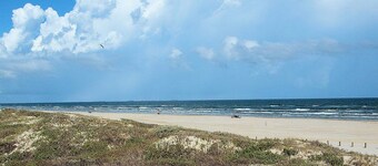 Sandy Seashell