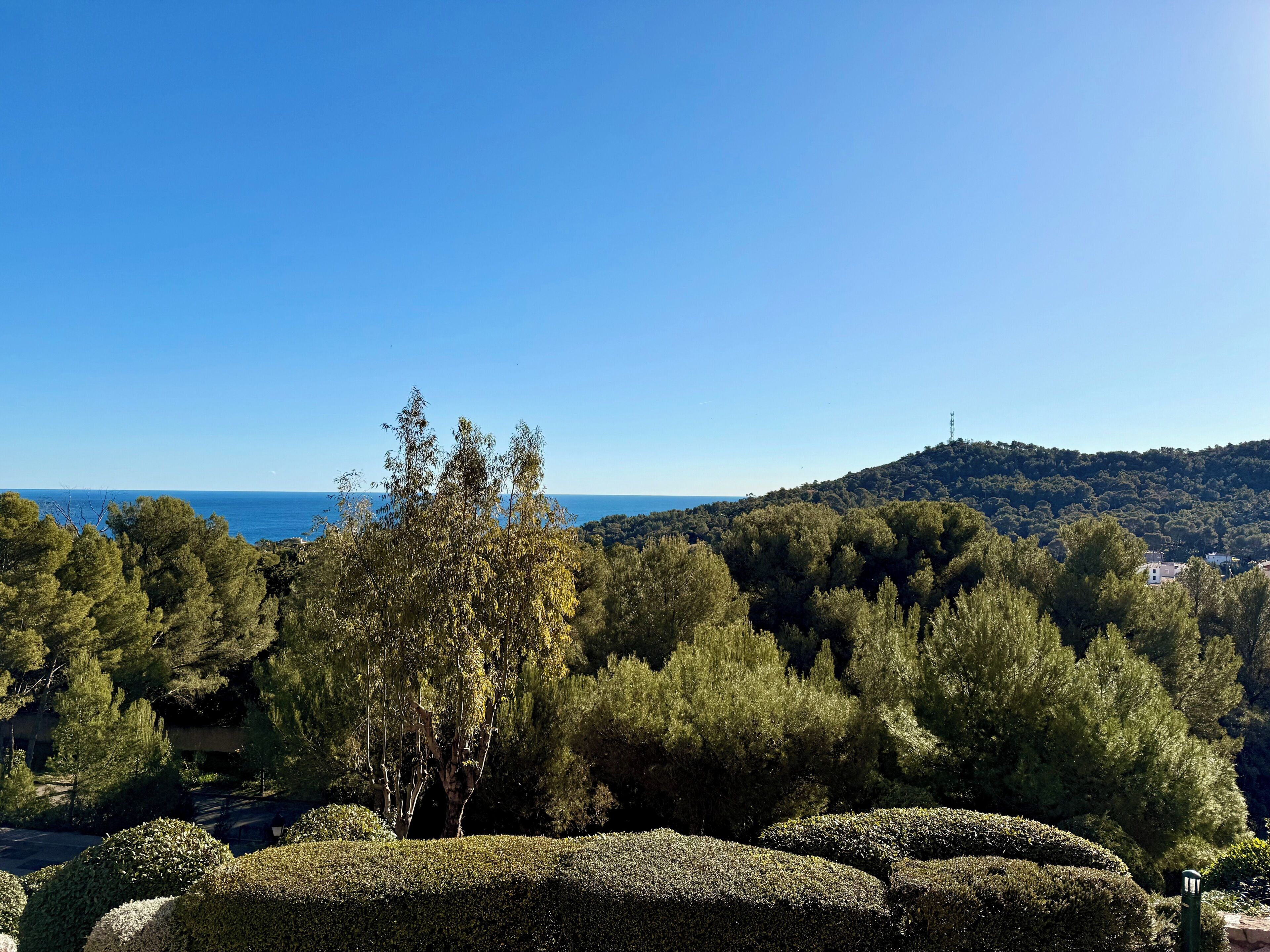 Un paysage côtier avec une végétation dense, un ciel dégagé et une colline lointaine surmontée d’une construction.