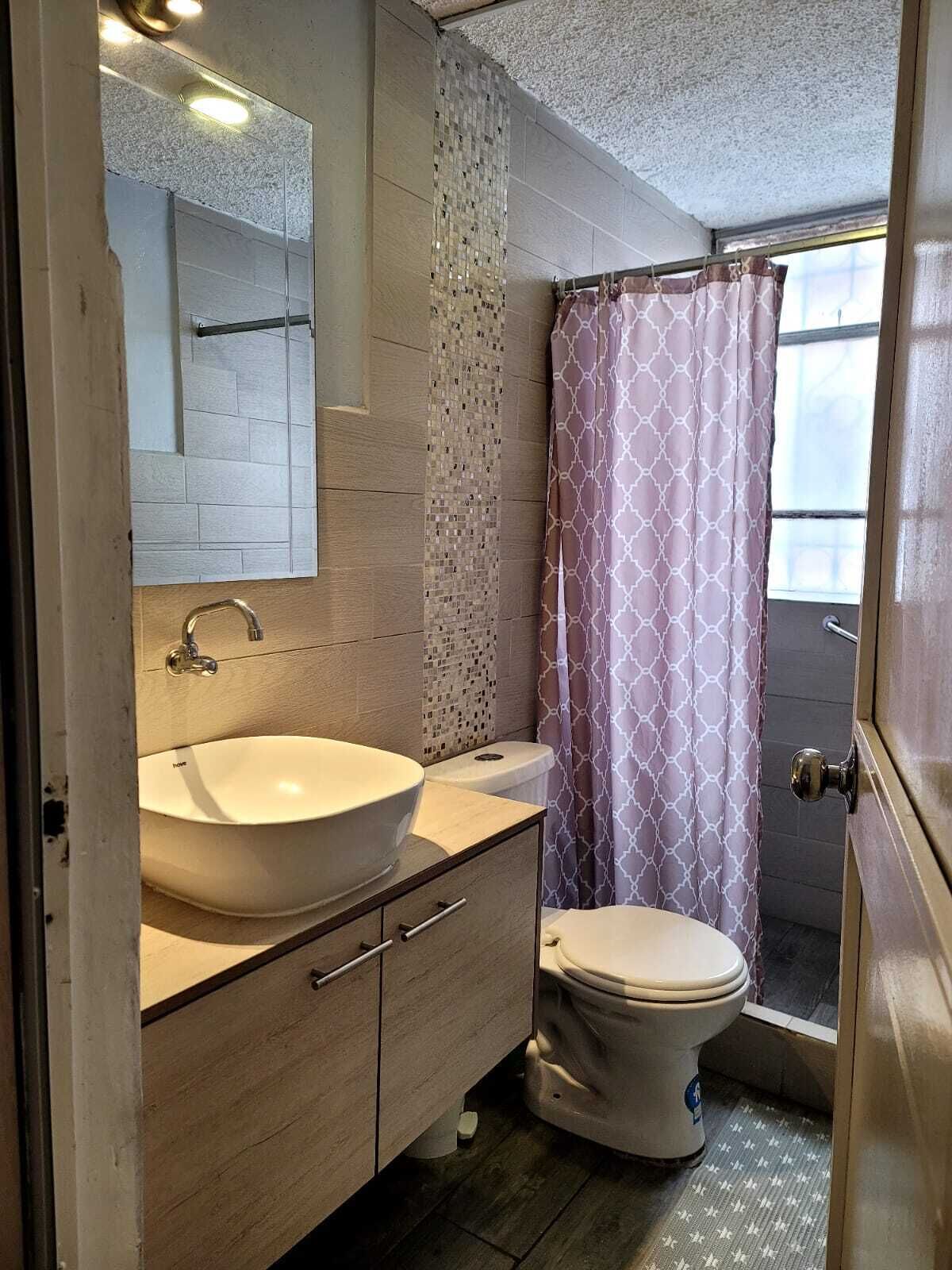 Un bagno con un lavabo a incasso, un water, uno specchio e una tenda per la doccia.
