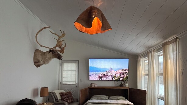Une pièce comprenant un lit, un canapé, une tête de cerf montée au mur, un téléviseur et une fenêtre avec des rideaux.