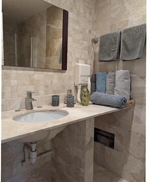 Shower, hair dryer, bidet, towels - Sublime 3-room apartment facing the Seine with a lovely terrace. (Alfortville)