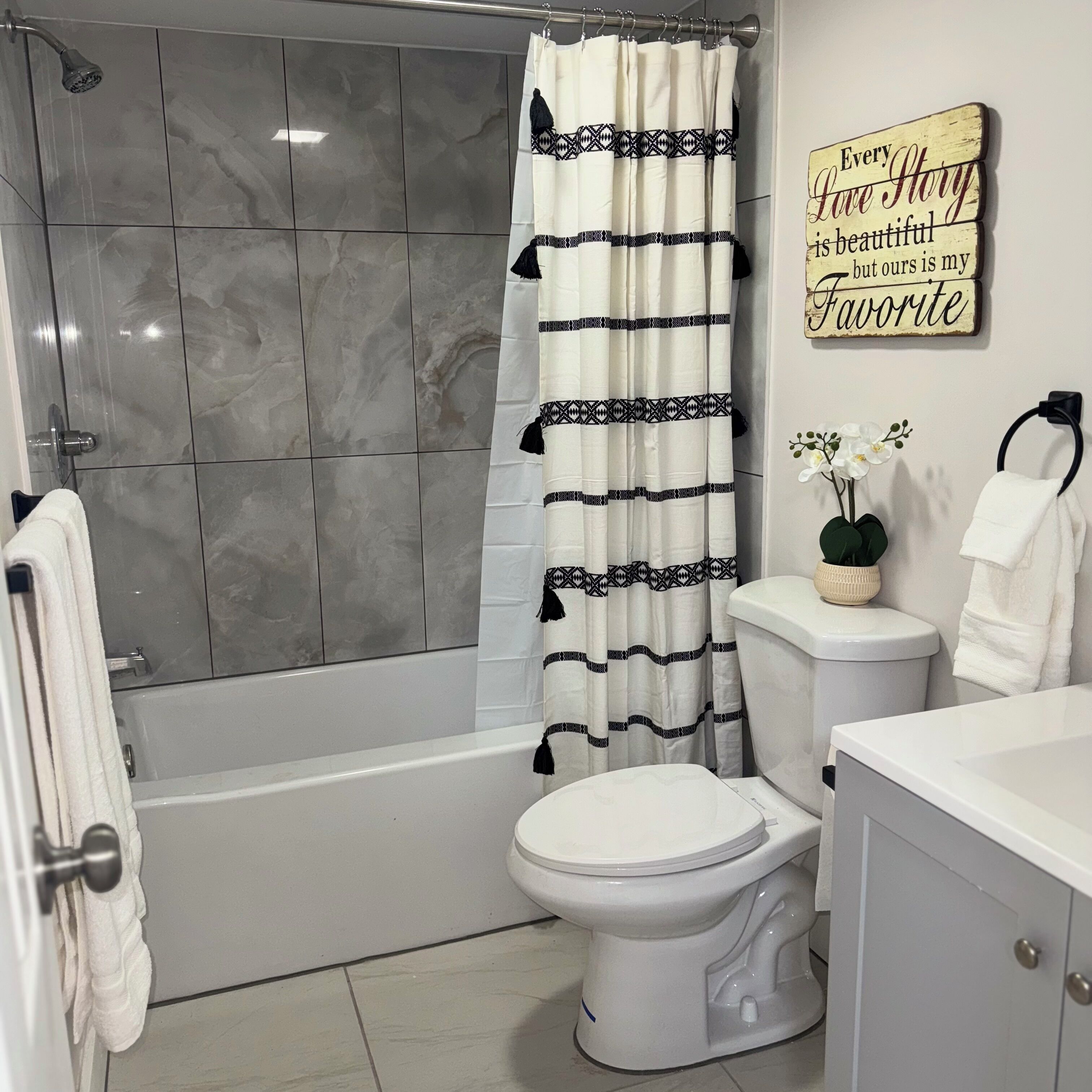 Hair dryer, towels, soap, shampoo