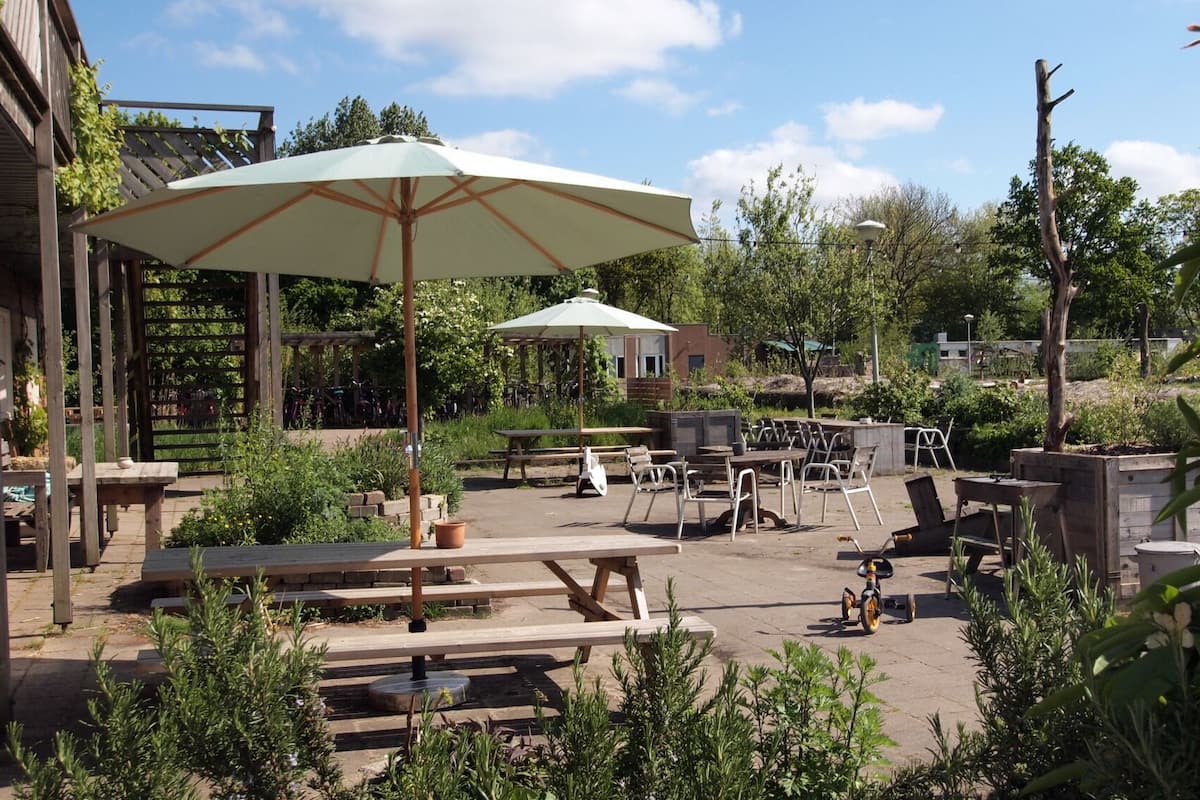 Quang cảnh vườn