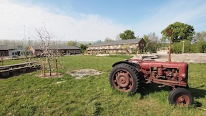 Khuôn viên nơi lưu trú